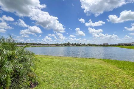 New construction Single-Family house 5206 123Rd Avenue E, Parrish, FL 34219 - photo 44 44