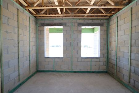 New construction Single-Family house 31835 Sapna Chime Drive, Wesley Chapel, FL 33545 Salinas- photo 19 19