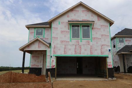 New construction Single-Family house 450 Cherry Laurel Drive, Oak Point, TX 75068 Maestro- photo 15 15