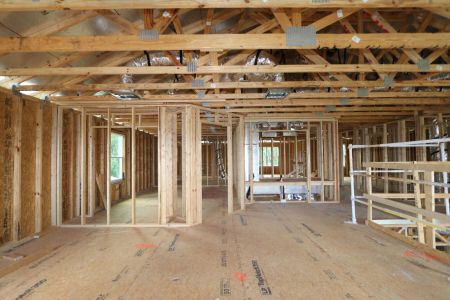 New construction Single-Family house 9635 Crescent Ray Drive, Wesley Chapel, FL 33545 Mira Lago- photo 44 44