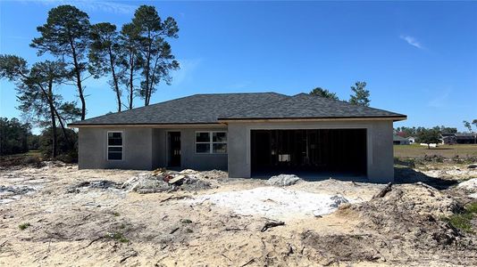 New construction Single-Family house 3918 Sw 161St Loop, Ocala, FL 34473 - photo 4 4