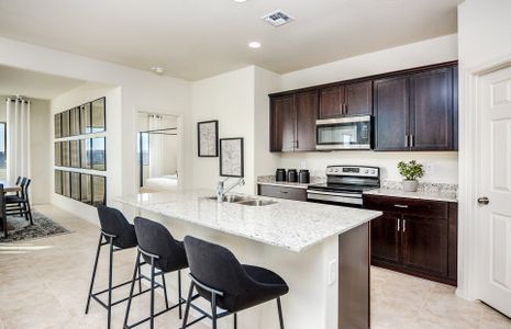 New construction Single-Family house 43717 Cypress Lane, Maricopa, AZ 85138 - photo 4 4