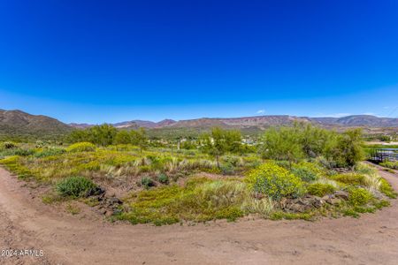 New construction Single-Family house 492XX N 15Th Avenue, New River, AZ 85087 - photo 16 16