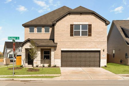 New construction Single-Family house 114 Kays Path, Georgetown, TX 78626 - photo 2 2