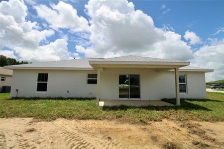 New construction Single-Family house 11 Locust Run Trace, Ocala, FL 34472 - photo 23 23