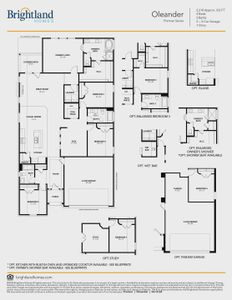 New construction Single-Family house 308 Diamondleaf Dr, Buda, TX 78610 Premier Series - Oleander- photo 3 3