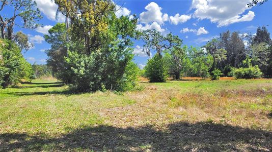 New construction Single-Family house Lot 1 1St Street E, Clearwater, FL 33759 - photo 32 32