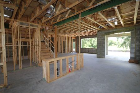 New construction Single-Family house 9635 Crescent Ray Drive, Wesley Chapel, FL 33545 Mira Lago- photo 54 54