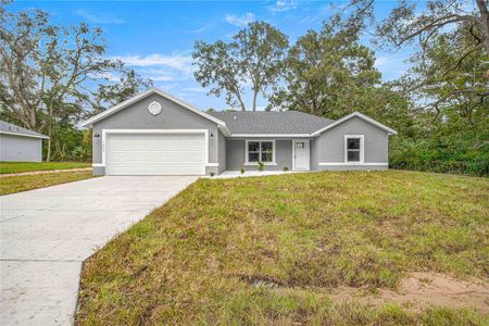 New construction Single-Family house 4578 Se 140Th Place, Summerfield, FL 34491 - photo 0