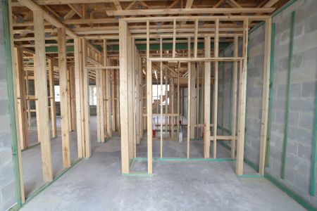 New construction Single-Family house 9358 Crescent Ray Drive, Wesley Chapel, FL 33545 Renau- photo 10 10