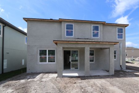 New construction Single-Family house 9358 Crescent Ray Drive, Wesley Chapel, FL 33545 Renau- photo 42 42
