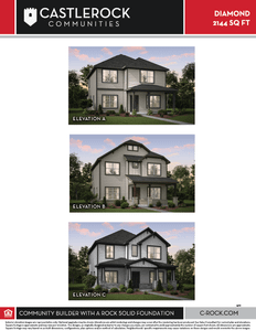 New construction Single-Family house Diamond, 201 Pinkerton Drive, Hutto, TX 78634 - photo