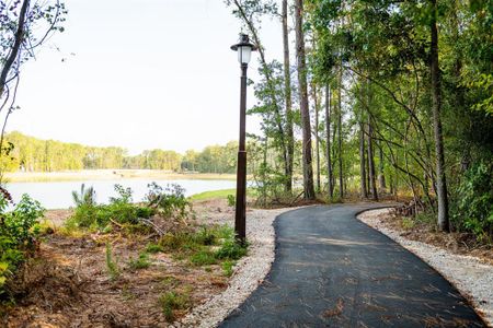 Paved Trails