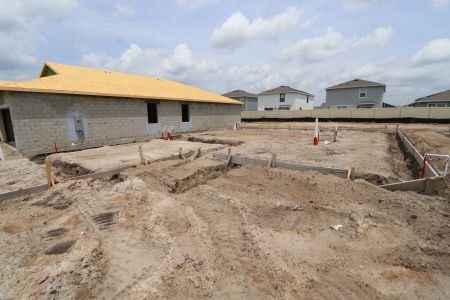New construction Single-Family house 31801 Sapna Chime Drive, Wesley Chapel, FL 33545 Alenza- photo 5 5