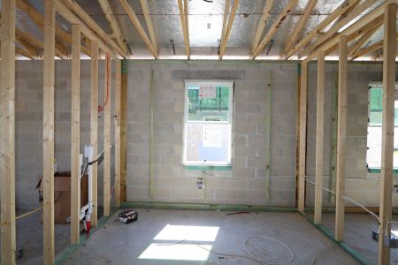 New construction Single-Family house 33224 Amling Pecan Branch, Wesley Chapel, FL 33545 Newport II- photo 7 7