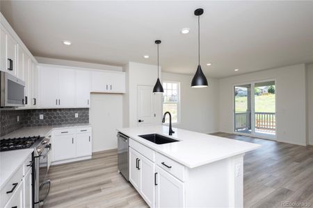 New construction Single-Family house 1771 Water Birch Way, Castle Rock, CO 80108 - photo 8 8