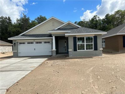 New construction Single-Family house 195 Bittern Loop, Inverness, FL 34453 1720- photo 0 0