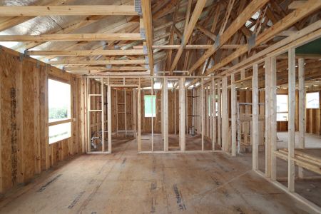 New construction Single-Family house 31852 Sapna Chime Drive, Wesley Chapel, FL 33545 Renau- photo 19 19