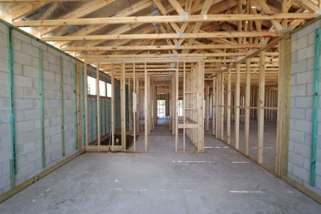 New construction Single-Family house 2416 Clary Sage Drive, Spring Hill, FL 34609 Corina  III- photo 14 14