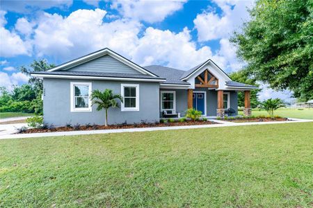 New construction Single-Family house 00 Castlewood Road, Seffner, FL 33584 - photo 0