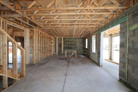 New construction Single-Family house 31852 Sapna Chime Drive, Wesley Chapel, FL 33545 Renau- photo 28 28