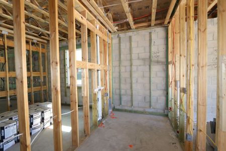 New construction Single-Family house 2868 Misty Marble Drive, Zephyrhills, FL 33540 Herrera- photo 64 64