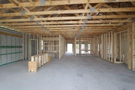 New construction Single-Family house 5082 Bromeliad Avenue, Wimauma, FL 33598 Barcello- photo 17 17