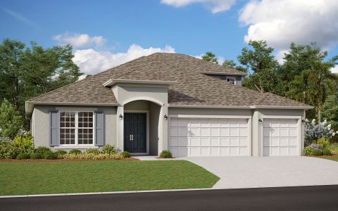 New construction Single-Family house Avalon w/ Bonus - 60' Homesites, 4417 Lions Gate Ave, Clermont, FL 34711 - photo