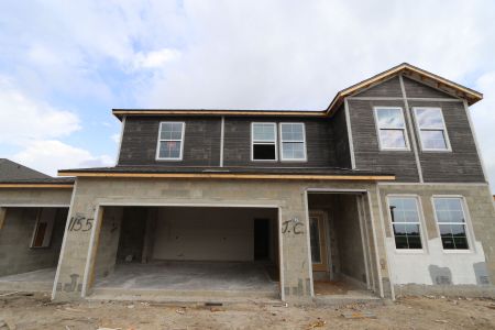New construction Single-Family house 7843 Notched Pine Bend, Wesley Chapel, FL 33545 Santa Monica- photo