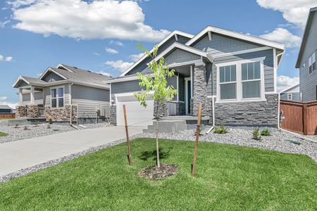 New construction Single-Family house 4651 Amrock Dr., Johnstown, CO 80534 - photo 0