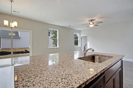 New construction Single-Family house 188 West Smith Street, Lincolnville, SC 29485 - photo 13 13