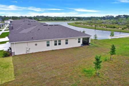 New construction Single-Family house 6906 Audobon Osprey Cove, Saint Cloud, FL 34773 - photo 2 2