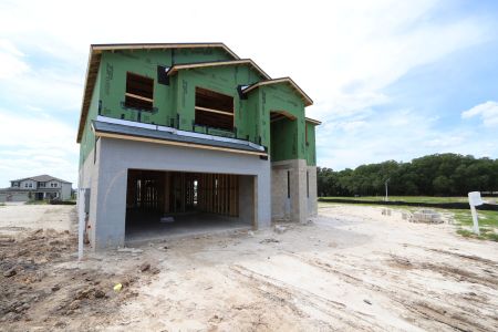 New construction Single-Family house 31810 Sapna Chime Drive, Wesley Chapel, FL 33545 Mira Lago- photo 21 21
