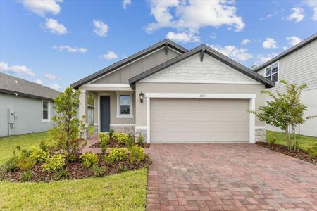 New construction Single-Family house 200 Lost Ball Drive, Daytona Beach, FL 32124 Everglade- photo 0