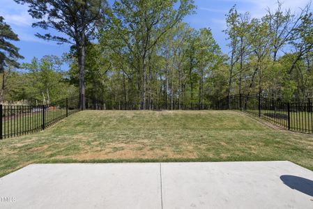 New construction Single-Family house 912 Tryon Palace Street, Wake Forest, NC 27587 - photo 26 26