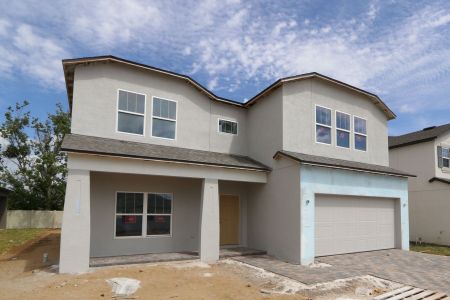 New construction Single-Family house 12114 Hilltop Farms Drive, Dade City, FL 33525 Alenza- photo 114 114