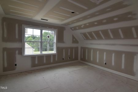 New construction Single-Family house 7245 Twin Pines Road, Spring Hope, NC 27882 - photo 15 15