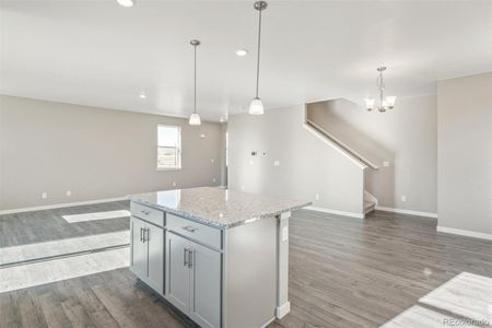 New construction Single-Family house 17919 Dandy Brush Drive, Parker, CO 80134 ELDER II- photo 17 17