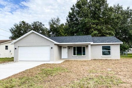 New construction Single-Family house 51 Locust Course, Ocala, FL 34472 - photo 0 0