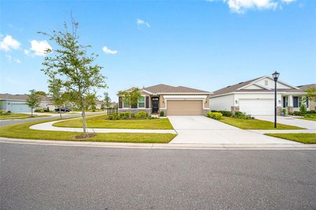 New construction Single-Family house 13370 Waterleaf Garden Circle, Riverview, FL 33579 - photo 73 73