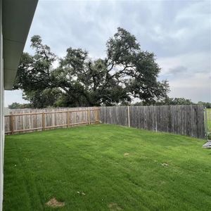 New construction Single-Family house 200 Castlefields St, Hutto, TX 78634 - photo 24 24