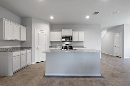 New construction Single-Family house 224 Running River Drive, Boyd, TX 76023 RENAE- photo