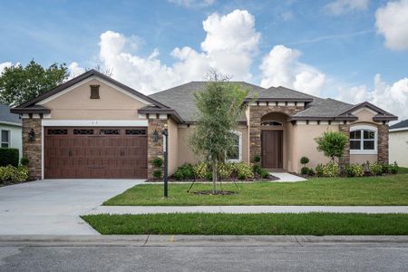 New construction Single-Family house 2210 S Sparkman Avenue, Orange City, FL 32763 - photo 17 17
