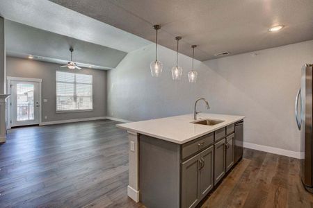 New construction Condo/Apt house 827 Schlagel Street, Fort Collins, CO 80524 - photo 29 29