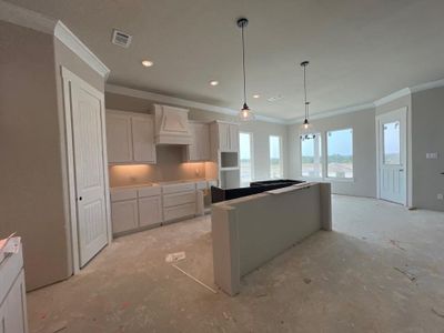 New construction Single-Family house 4205 Old Springtown Road, Weatherford, TX 76085 Verbena- photo 5 5