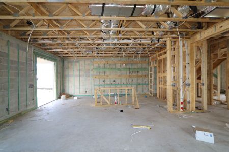 New construction Single-Family house 2657 Sunny Pebble Loop, Zephyrhills, FL 33540 Castellana- photo 8 8