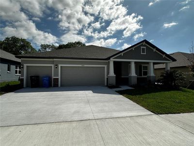 New construction Single-Family house 8880 Mugnai Street, Riverview, FL 33578 - photo 0