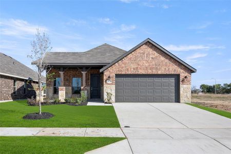 New construction Single-Family house 10341 Lenten Rose Street, Fort Worth, TX 76036 Concept 1849- photo 0