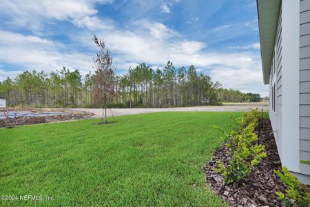 New construction Single-Family house 850 Goldenrod Drive, Saint Augustine, FL 32092 St. George- photo 7 7