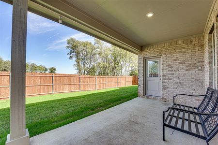 New construction Single-Family house 3732 Walnut Ridge Drive, Grand Prairie, TX 76050 - photo 28 28